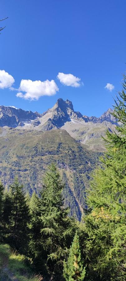 Appartement Haus Alpenrose à Sankt Leonhard im Pitztal Extérieur photo